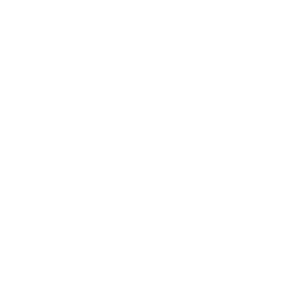 Distribuidor oficial Beta Motors
